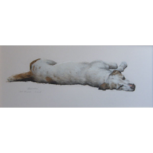 North Cotswold Foxhound - Pastel