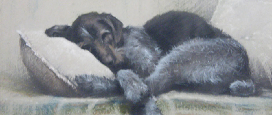 Felty - Original Pastel