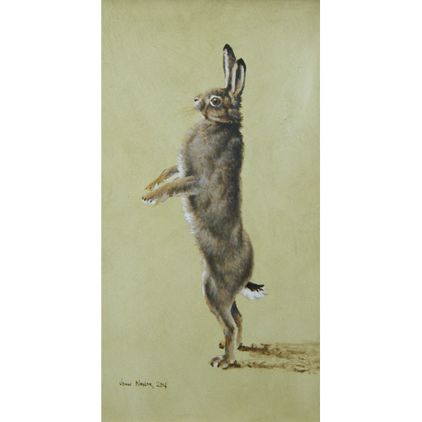 Standing Hare - Oil on Board