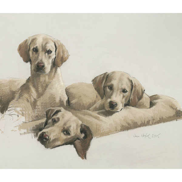 Middleton Hounds