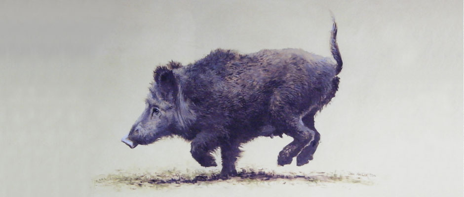 Running Boar - Original Oil